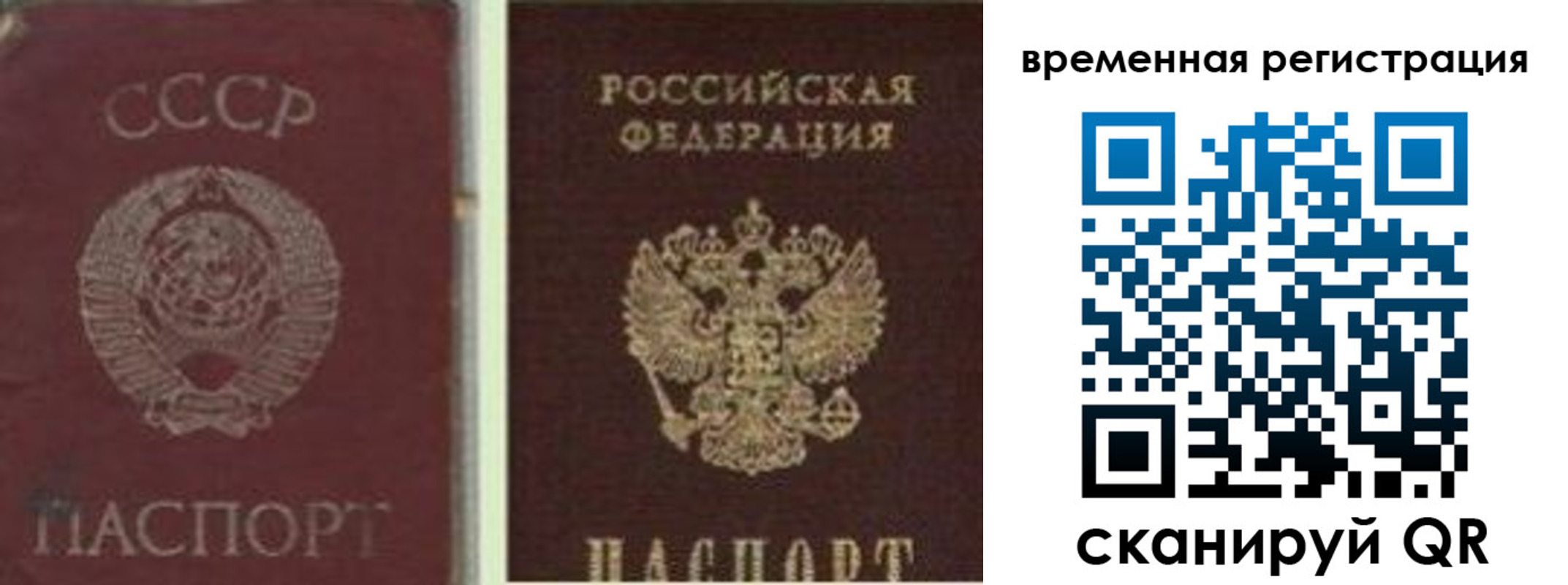 найти адрес прописки в Сосновоборске